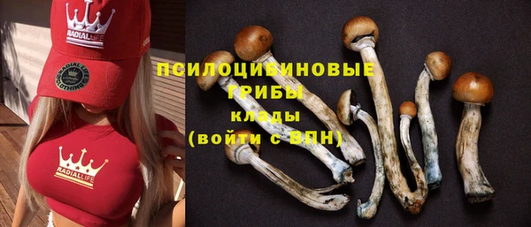 спиды Балабаново